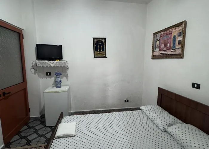 The Grandmother 招待所